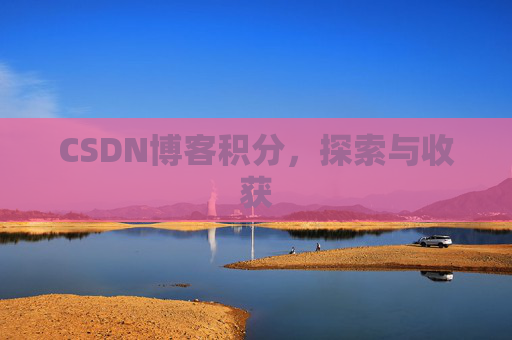 CSDN博客积分，探索与收获